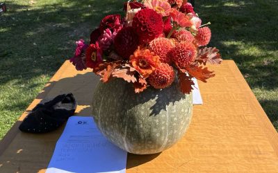 21. Bučijada u Ivanić-Gradu