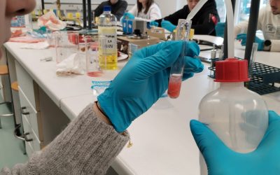 Tehničari nutricionisti na  PBF-u